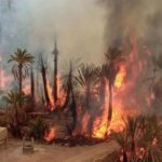 الحرائق تفقد المغرب حوالي 5 آلاف من الغطاء الغابوي سنويا